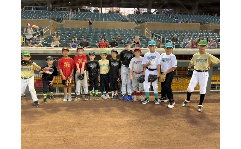 Little League Night @ Salt River Fields