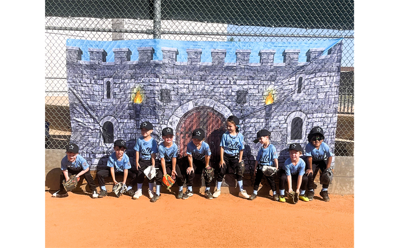 Coach Sands' Tee Ballers Defending the Castle!